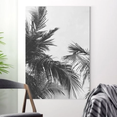 Obraz na płótnie - tropical shadow , wymiary - 50cm x 70cm