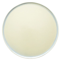 ETER Talerz śr.28,5 cm pistacjowy / VERLO