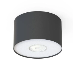 Lampa sufitowa, spot POINT S grafitowy