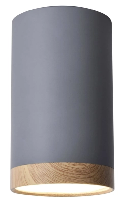Lampa sufitowa, spot TUBA 15 szara