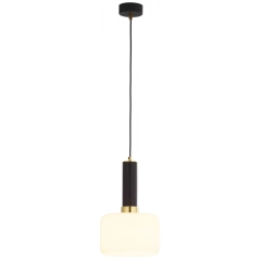 Lampa sufitowa wisząca VANES czarna, klosz biały
