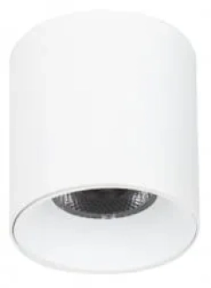 Lampa sufitowa, spot ALTISMA biały 4K