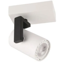 Lampa sufitowa reflektor MOLA biały