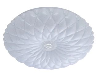 Lampa sufitowa plafon AURIS L biały