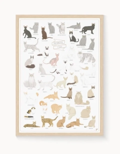 Plakat "The World of Cats"