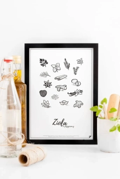 Plakat "Zioła i przyprawy"
