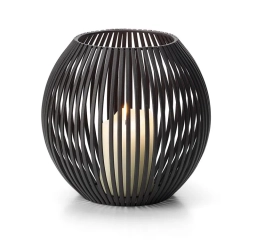       
                            Latarenka Luisiana S Philippi
                        