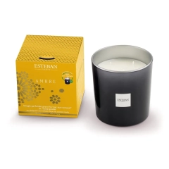       
                            Świeca zapachowa (450 g) Ambre Esteban
                        
