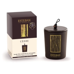       
                            Świeca zapachowa (180 g) Cedre + ceramiczna przykrywka Esteban
                        