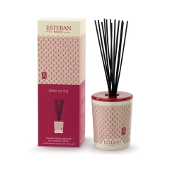      
                            Dyfuzor zapachowy (100 ml) Esprit de thé + przykrywka ceramiczna Esteban
                        
