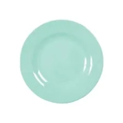 talerz z melaminy dark mint Rice