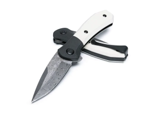 Buck PARADIGM IVORY G10 DAMASCUS 590IVSLE Limited Edition